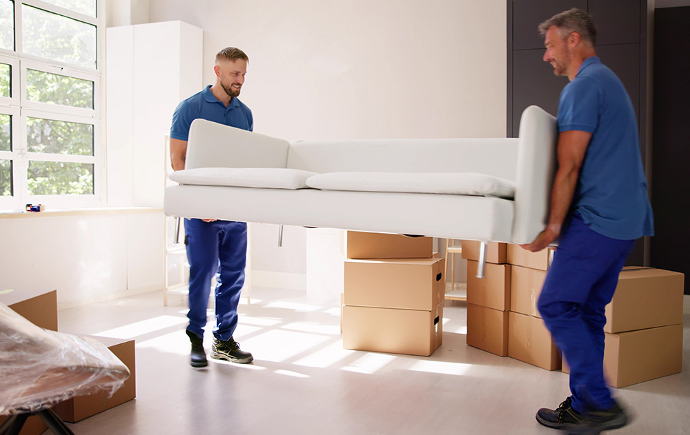 fachmännische Montage und Installation